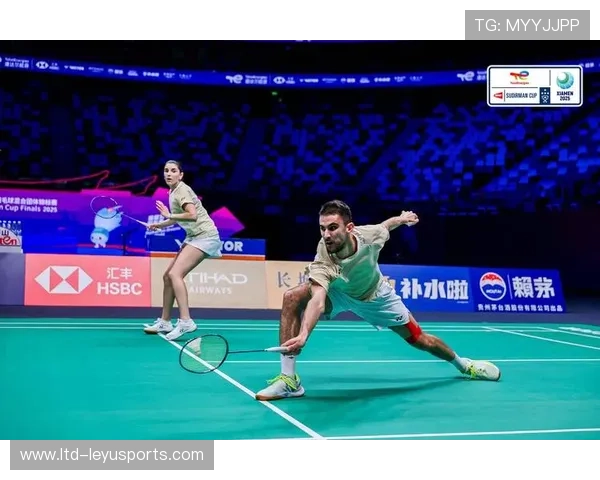 羽毛球比赛体能与技术的巅峰对决